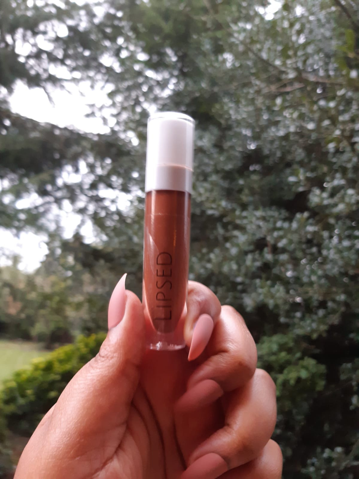 Chocolate brown Lip Gloss