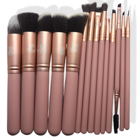 Pink 14 Piece Brush Set