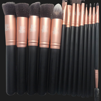 Black 14 Piece Brush Set